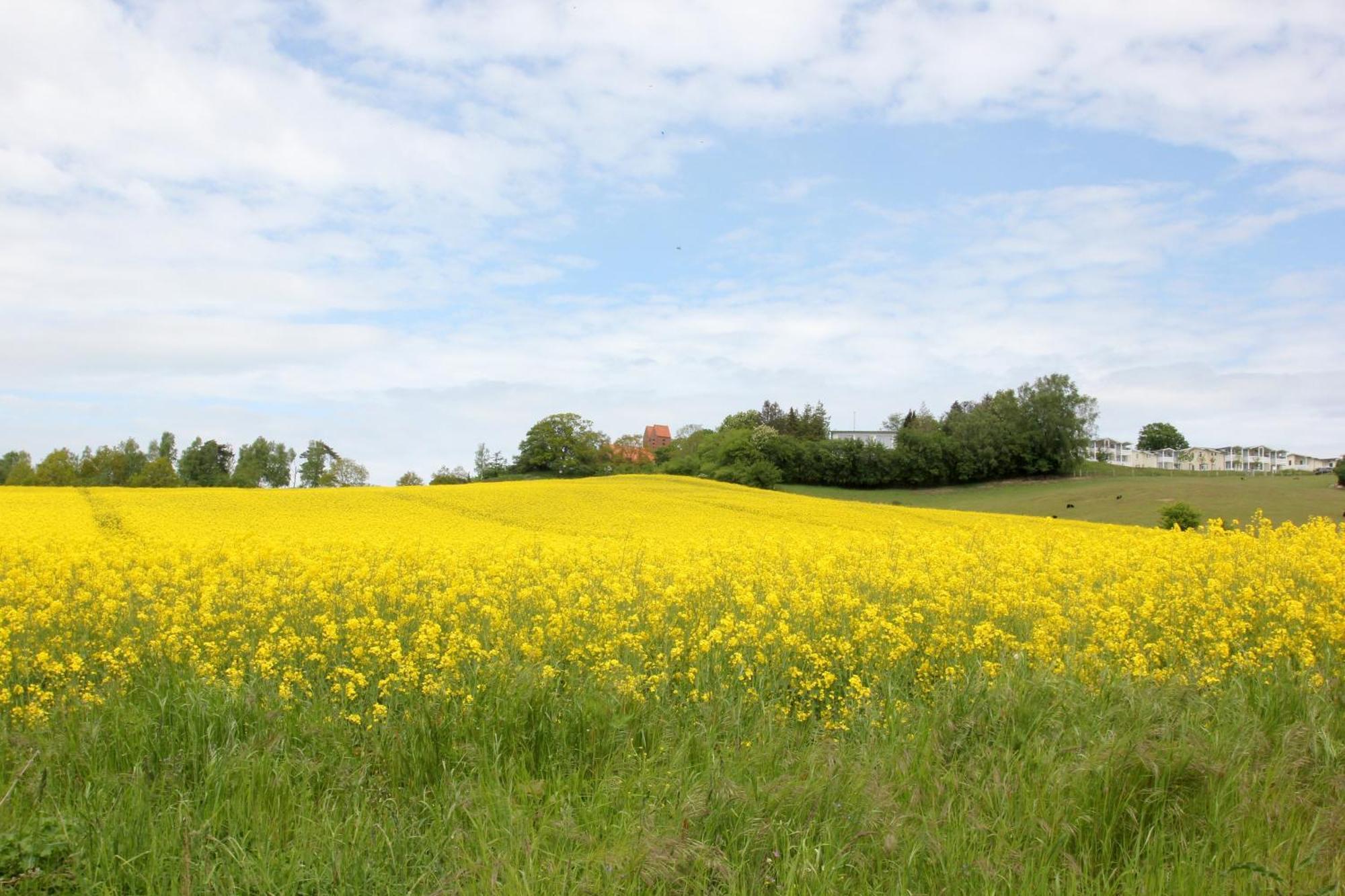 Mit Meerblick Und Balkon, Gratis Nutzung Vom Ahoi Erlebnisbad Und Sauna In Sellin - Meeresblick Fewo 33 Goehren  Exteriér fotografie